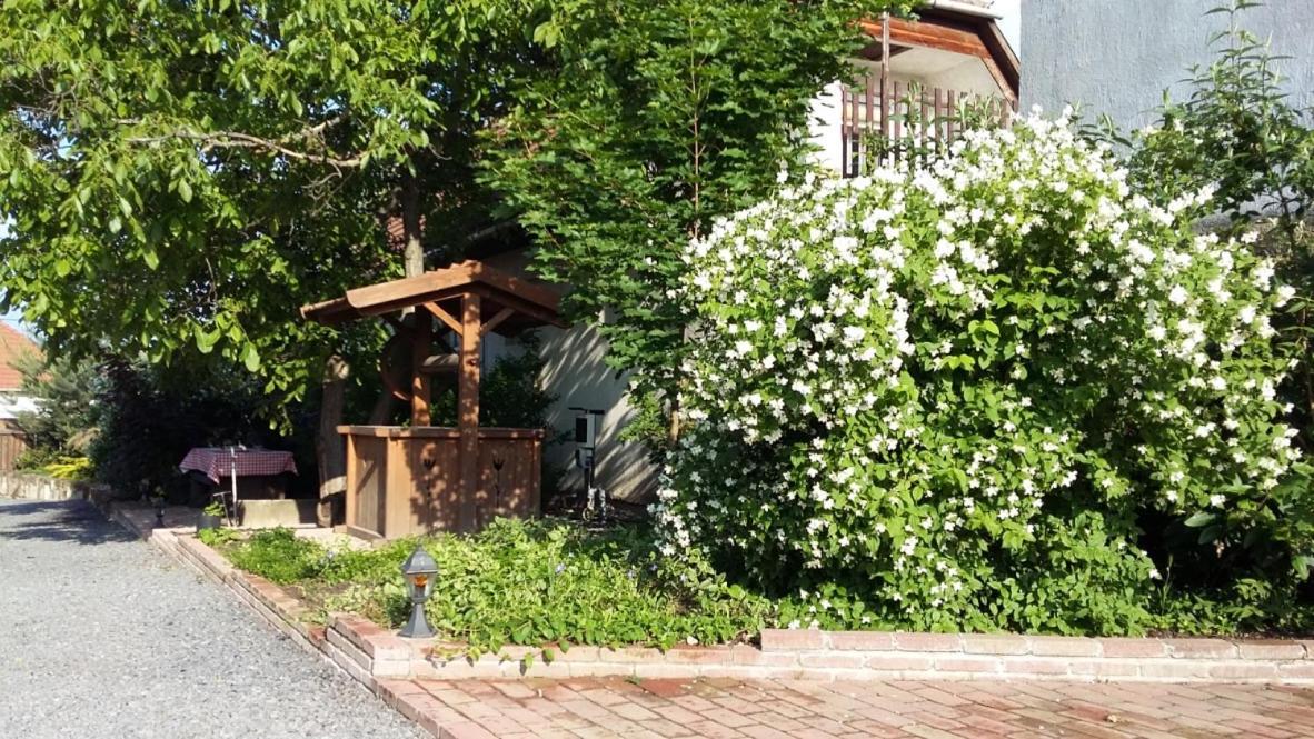 Ferienwohnung Cziroka Vendeghaz Tolcsva Exterior foto